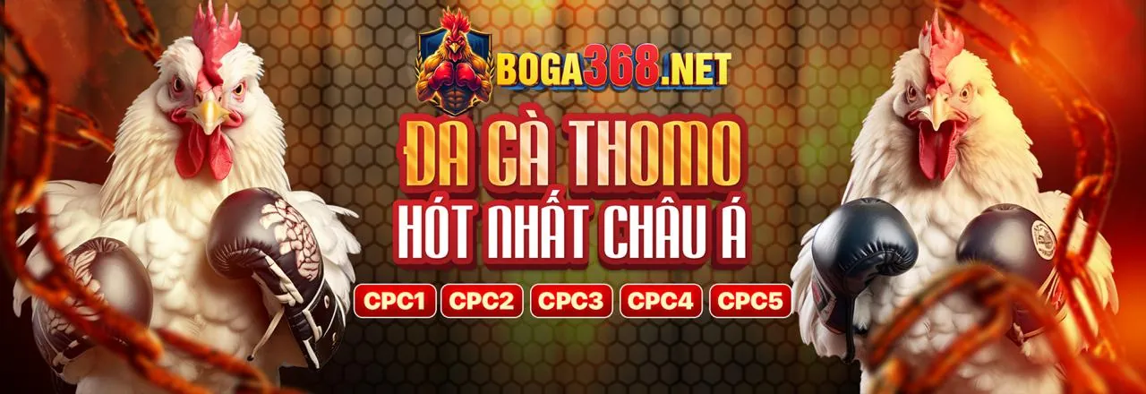 Mẹo cá cược vn88 bet